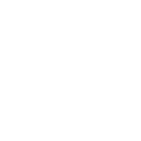 Airport Assistance & Protocol Services